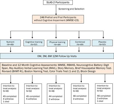 Lower insulin level is associated with sarcopenia in community-dwelling frail and non-frail older adults